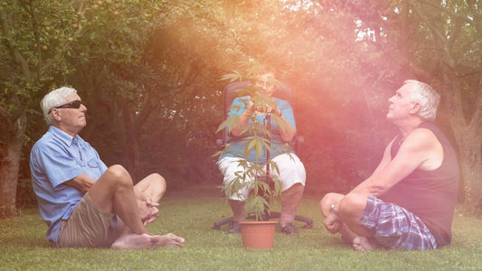 Seniors Embrace Legal Cannabis Cultivation at Home