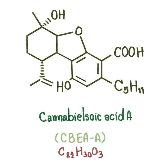 Unlocking the Secrets of Rare Cannabinoids:  CBEA-A